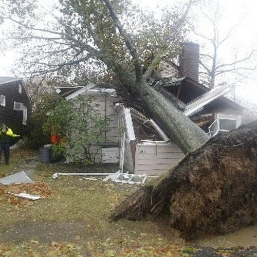 Emergency Tree Removal in Kinston NC