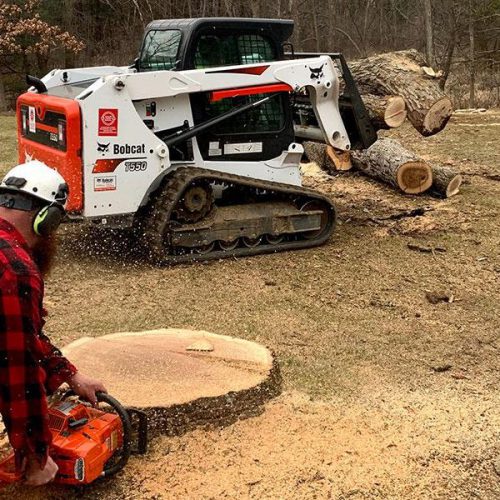 Stump Removal in Goldsboro